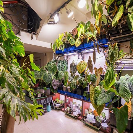 Amango Home Ho Chi Minh City Bagian luar foto